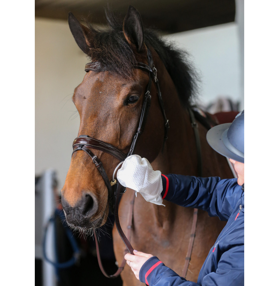 Chusteczki Belvoir Tack Cleaner Mitt Carr&Day&Martin