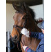 Chusteczki Belvoir Tack Cleaner Mitt Carr&Day&Martin