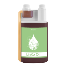 LinKo Oil Over Horse