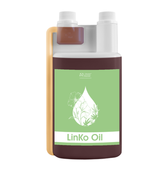 LinKo Oil Over Horse