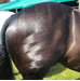 Spray do Robienia Wzorów Quarter Marking Spray Smart Grooming