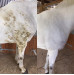 Suchy Szampon Polar White Smart Grooming
