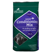 Musli Poprawiające Kondycję Shine+ Conditioning Mix Spillers