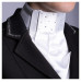 Plastron Precious Harry's Horse