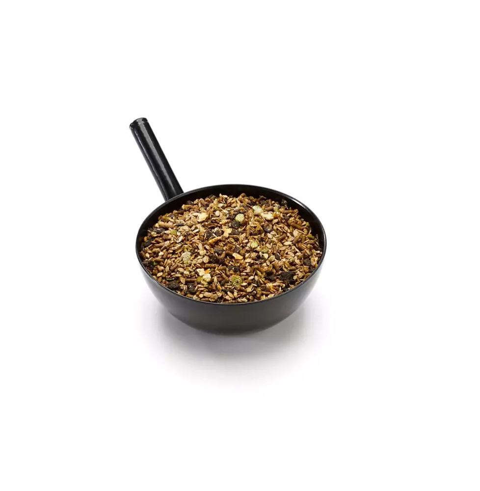 Musli Kentucky Balancer Saracen