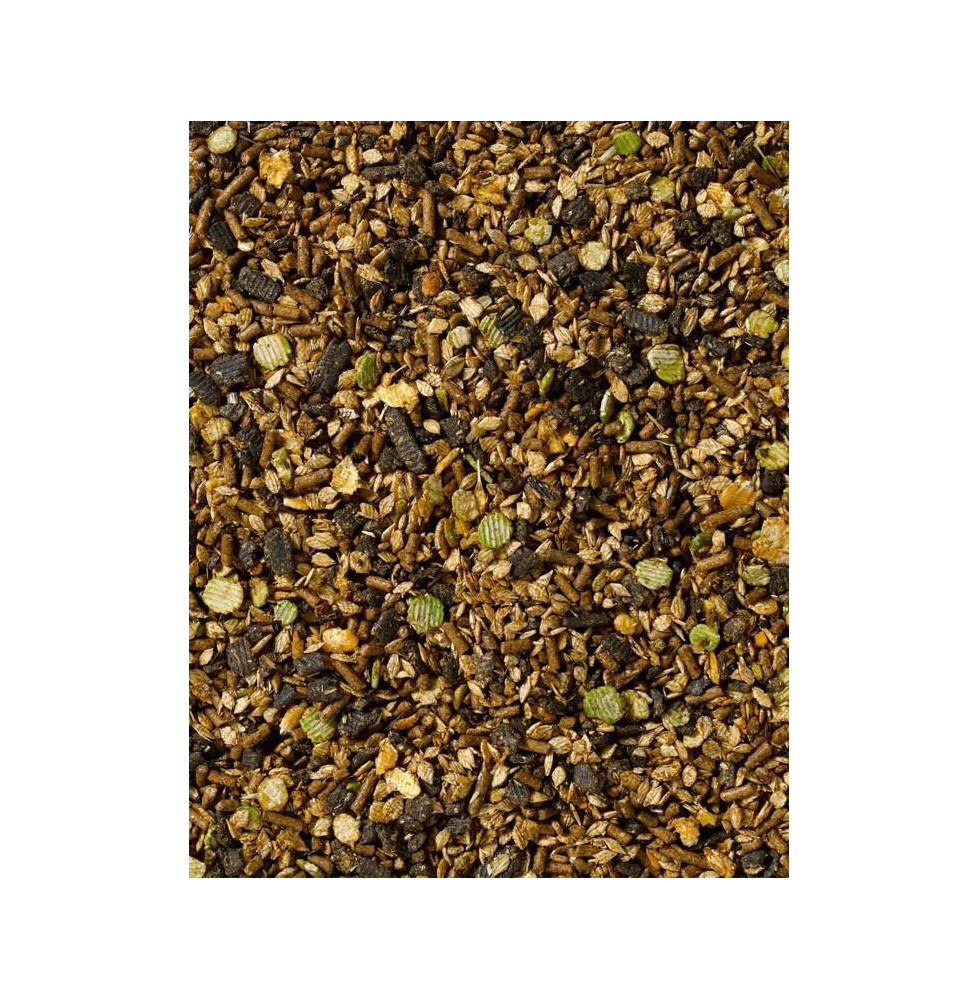 Musli Kentucky Balancer Saracen