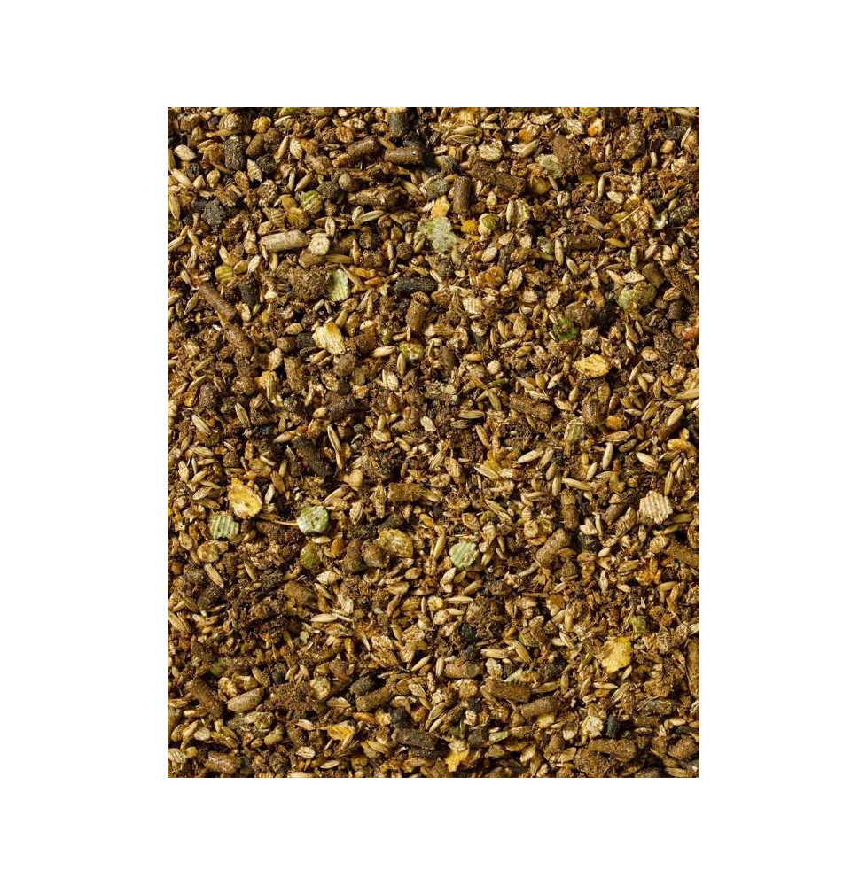Musli Recoup 11 Saracen