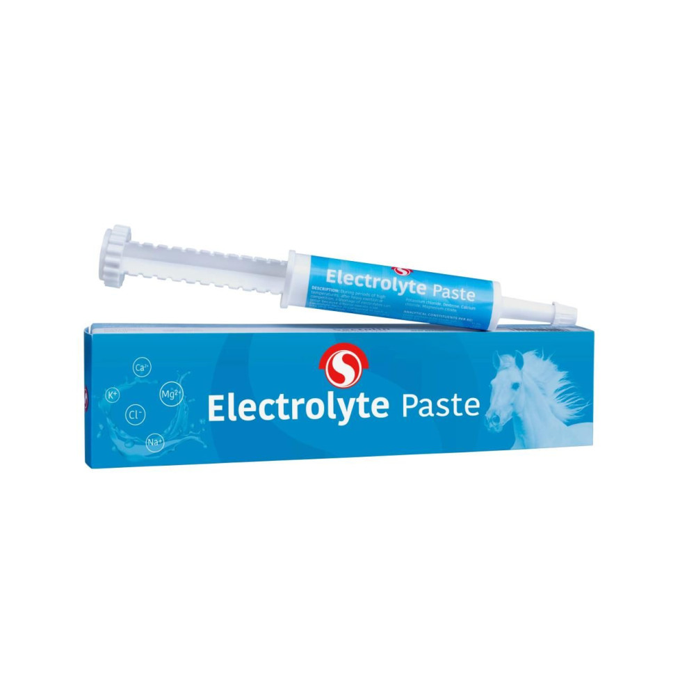 Pasta Elektrolitowa Electrolyte Paste Sectolin