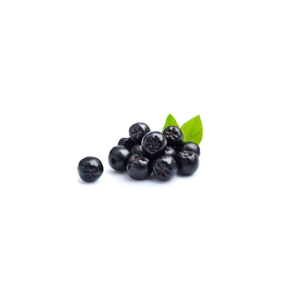 Aronia Equiherbs