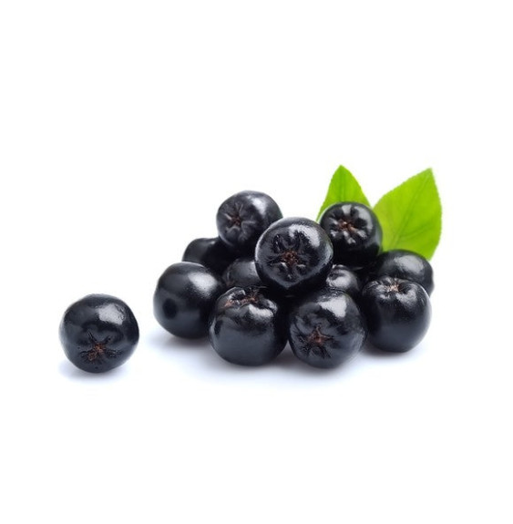 Aronia Equiherbs