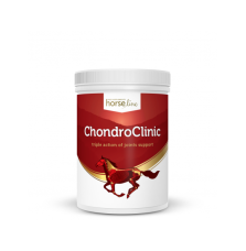 ChondroClinic HorseLine