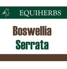 Boswellia Serrata Equiherbs