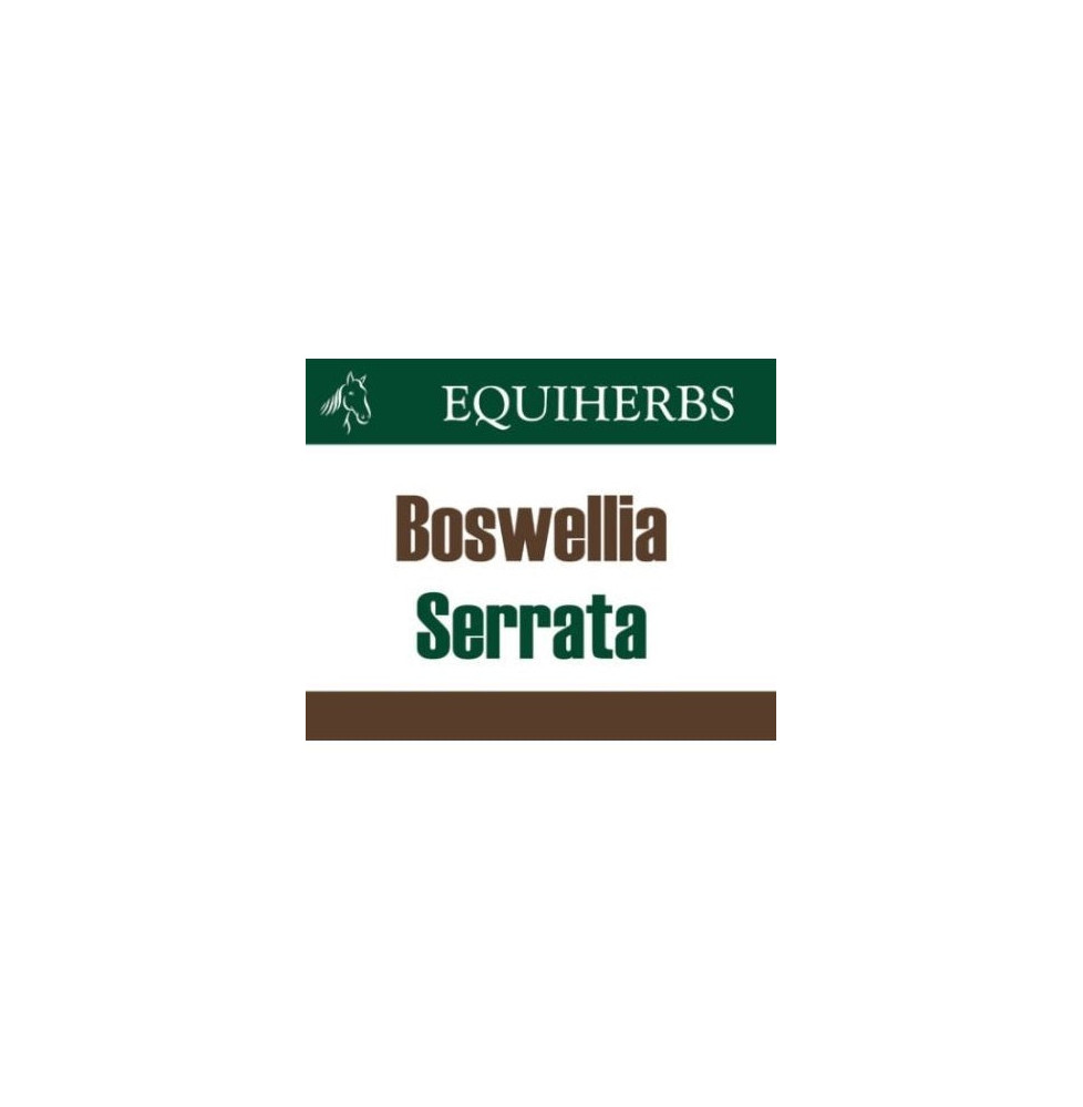 Boswellia Serrata Equiherbs