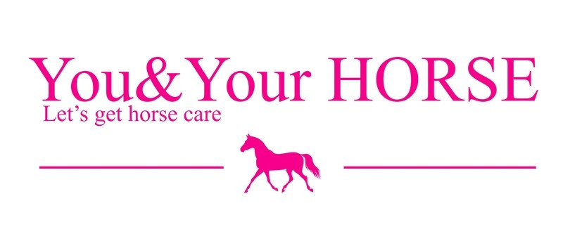 You & Your Horse