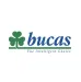 Bucas