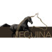 Equina